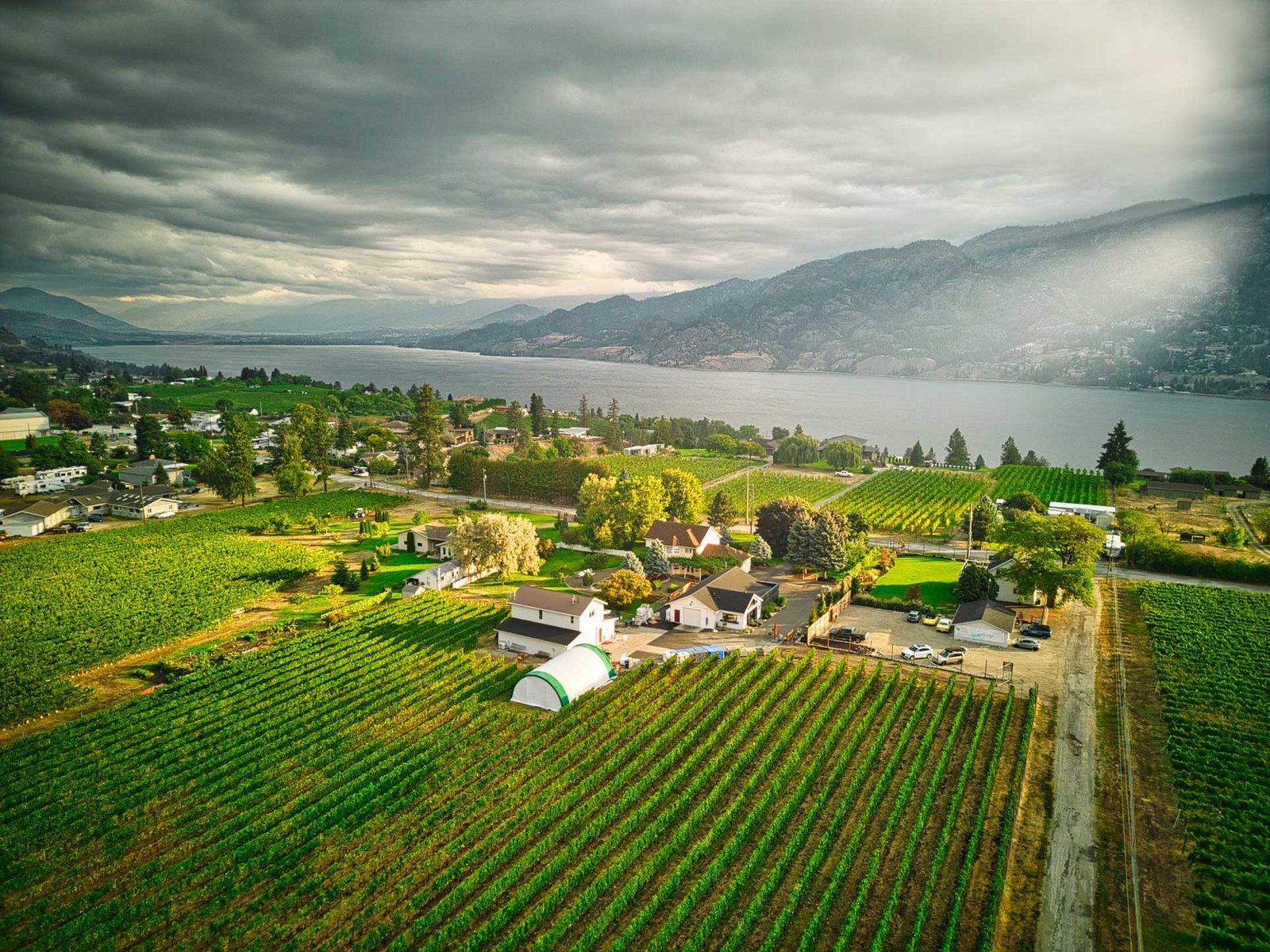 Lakeboat Vineyard & Winery